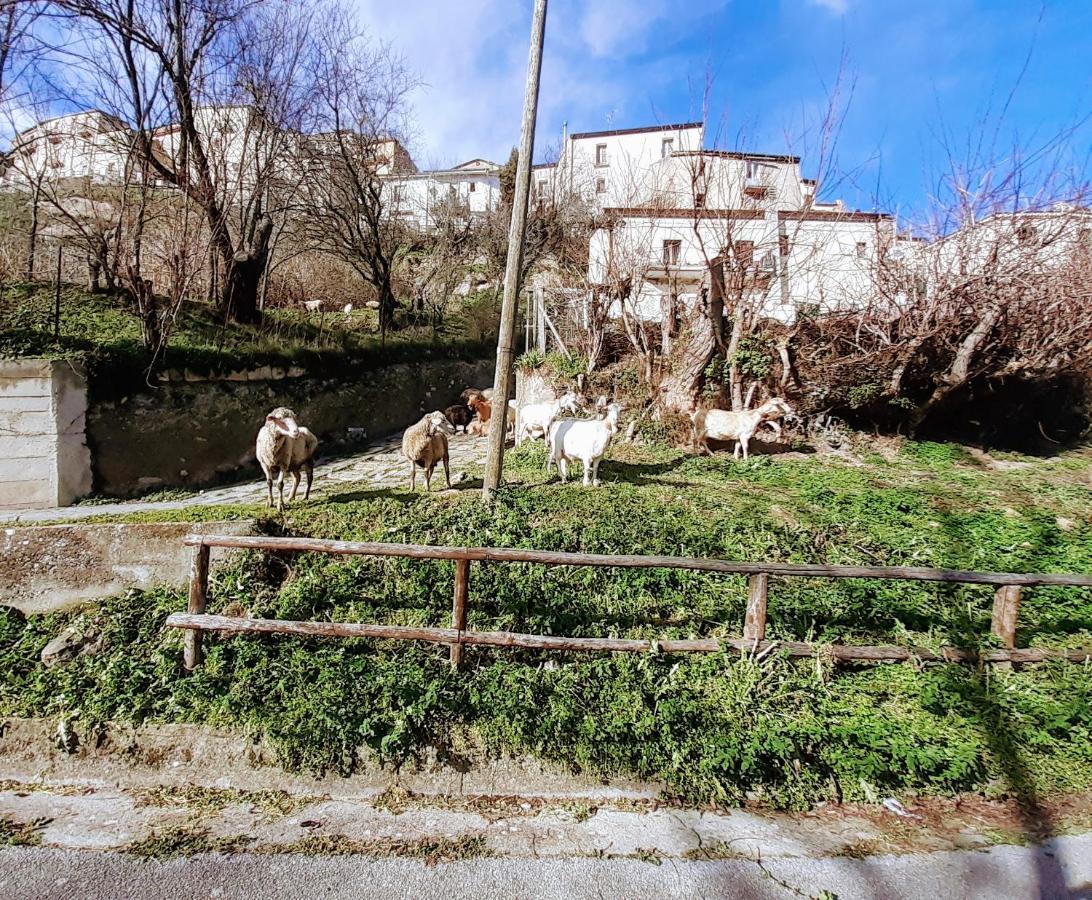 Le Origini Casa In Borgo Tipico Lucano Trivigno المظهر الخارجي الصورة